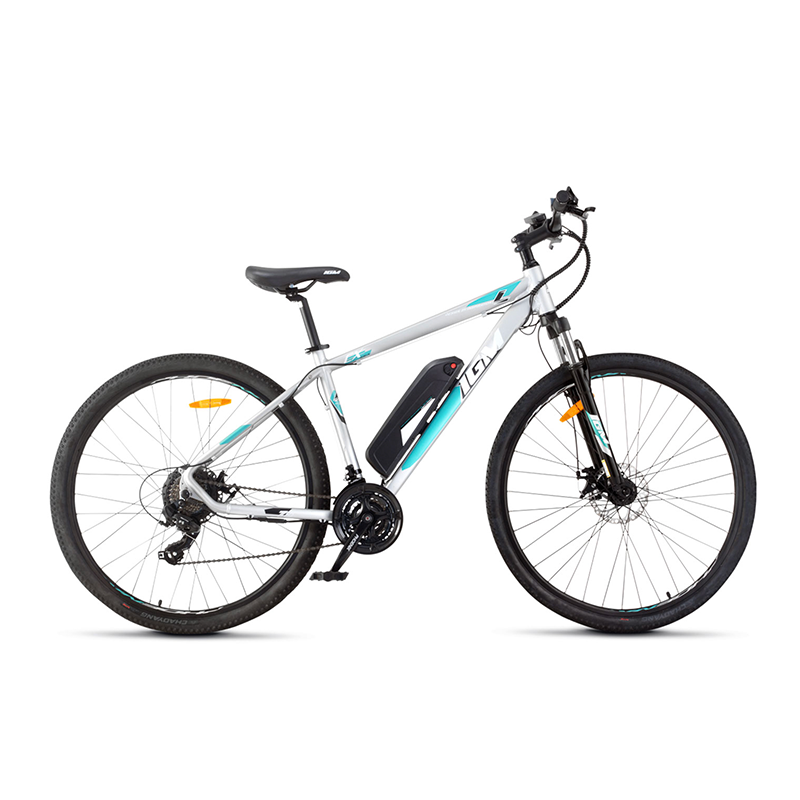 IGM E-MTB GRIS